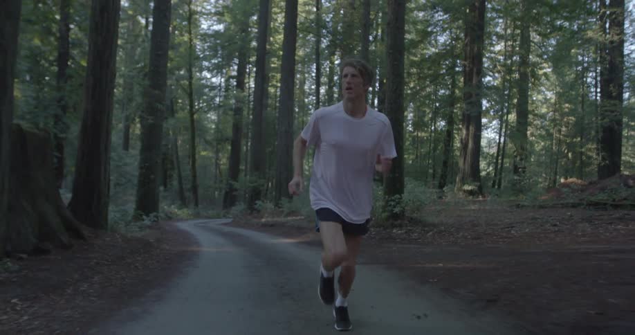 A person jogging on a trail