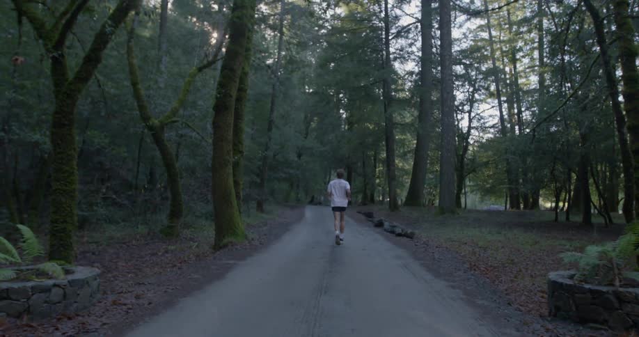 A man jogs down a path in a forest