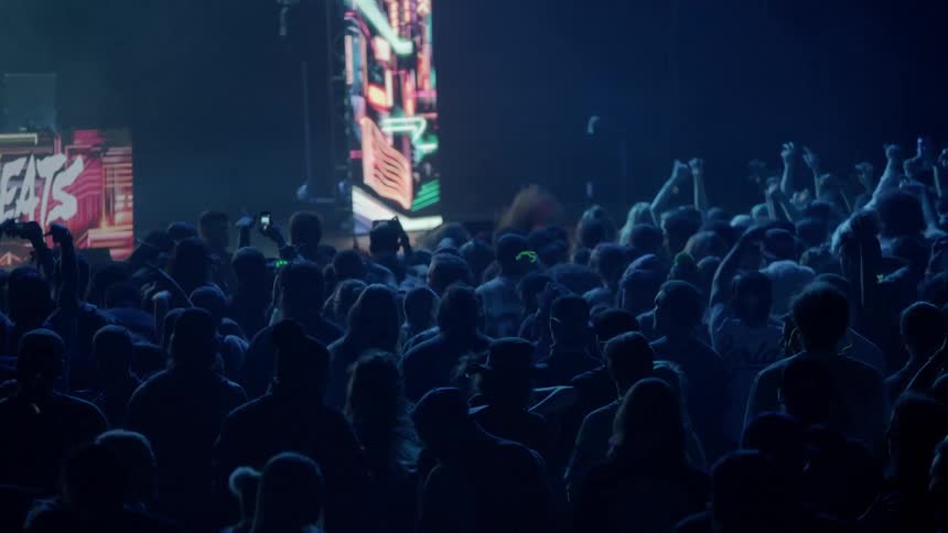 People dance at a concert