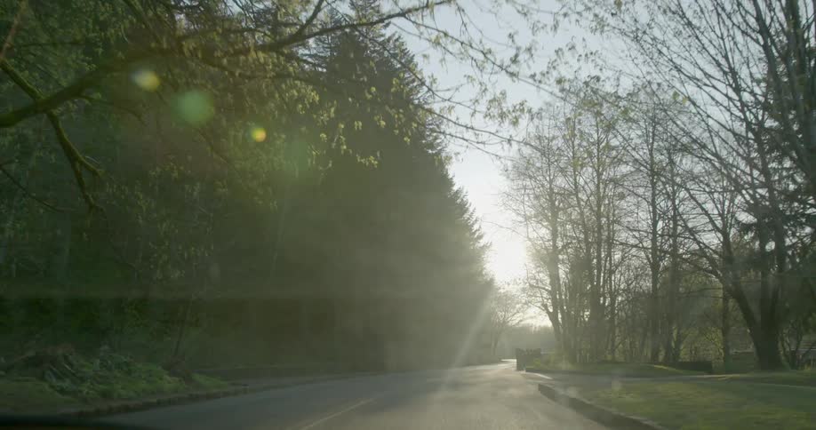 A person is driving through the countryside
