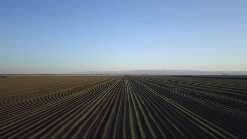 Farm fields stretch at under a clear blue sky