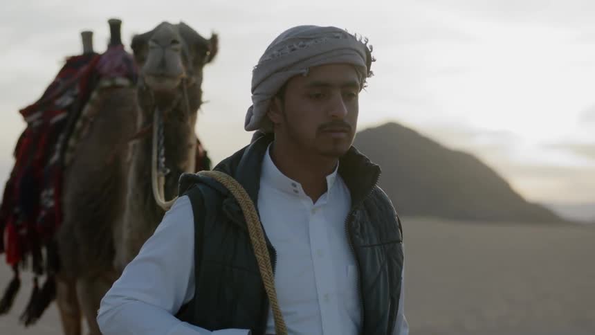 A man leads a camel in the desert