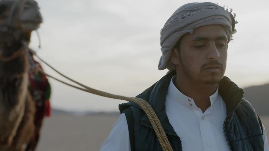 An arab man leading a camel walks across a desert landscape