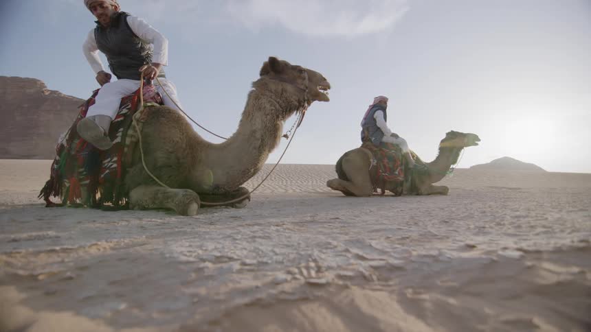 A man mounts a camel in the desert
