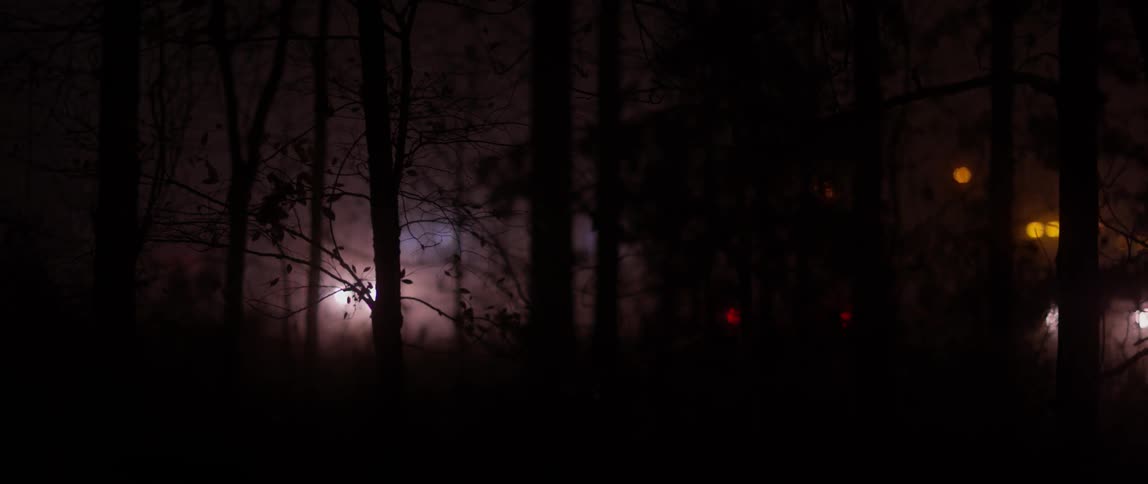 Fog and trees obscure vehicles as they travel a road at night