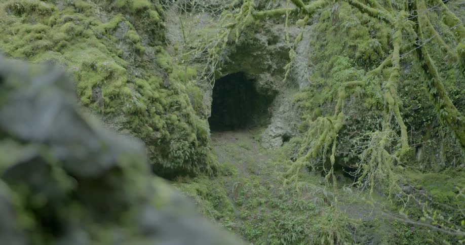 A path leads to a cave in a jungle