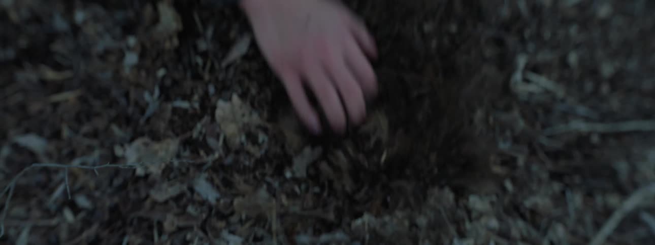 Person digs through leaves and dirt