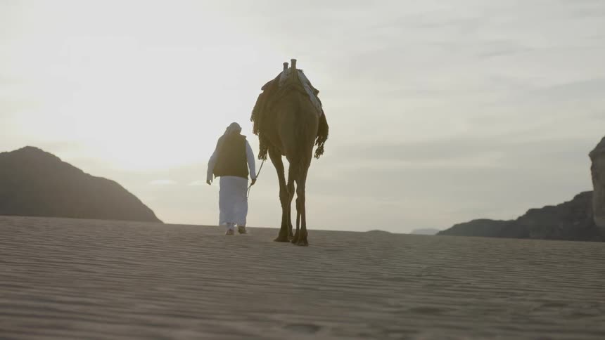 A man leads a camel in the desert