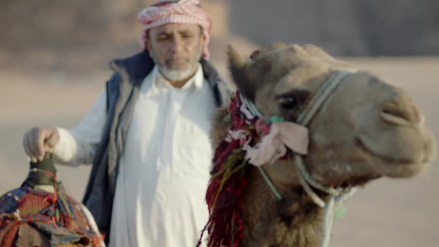 A man stands beside a saddled kneeling camel