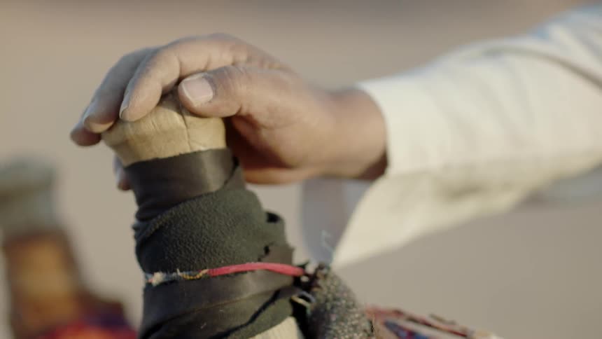A man rests his hand on a saddle pommel