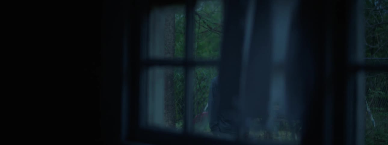 A man looks into a window from outside