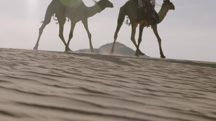 A couple of people are riding camels across the desert