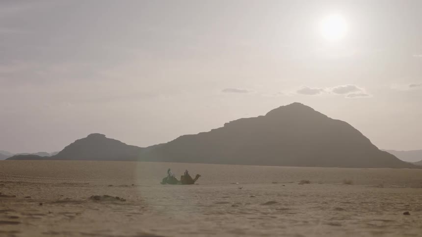 People climb off sitting camels