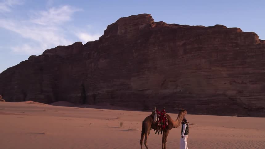 Man and a camel stand in a desert