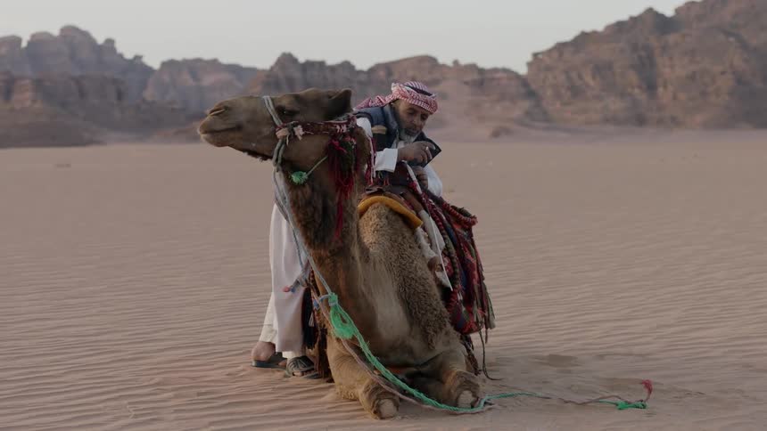 An arab man smokes as he leans across his camel