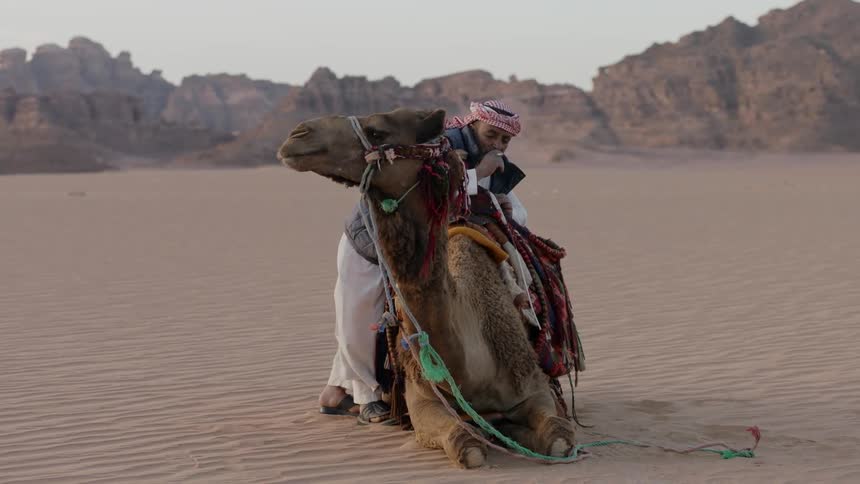A man is sitting on a camel in the desert