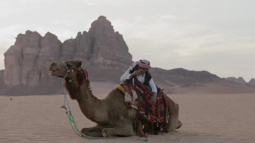 A man leans on a camel