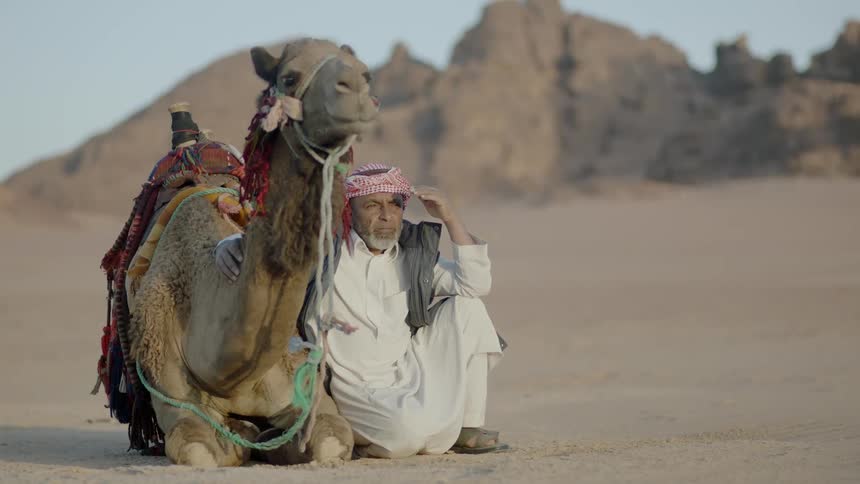 A man sits beside a camel in the desert