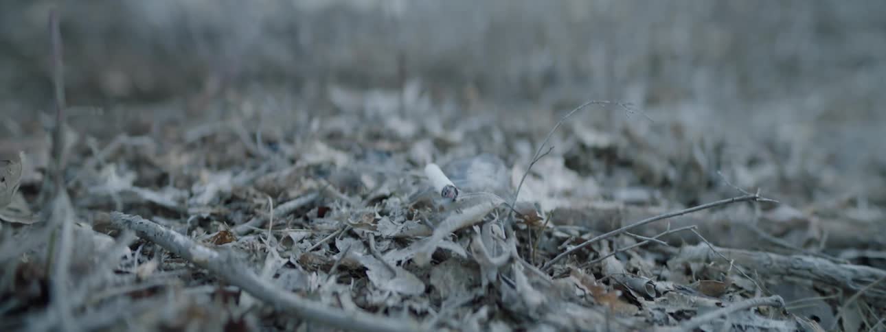 A cigarette is put out on top of dead leaves on the ground