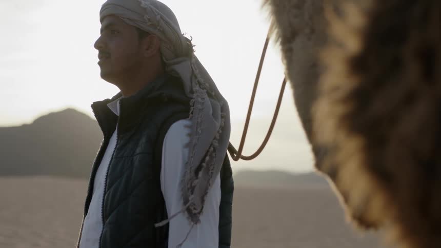 An arab man leading a camel stands looking at the landscape