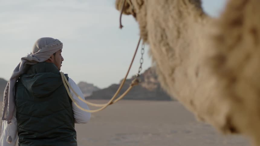 A man leads a camel in the desert