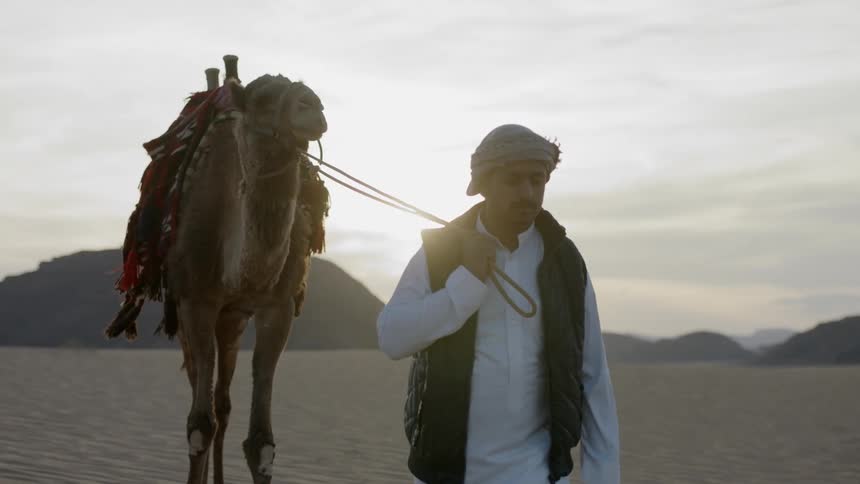 A man walks with a camel on a rope