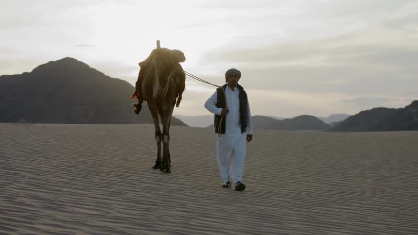 A man is walking a camel in a desert during the day
