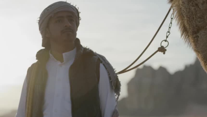 An arab man leading a camel stands looking at the landscape