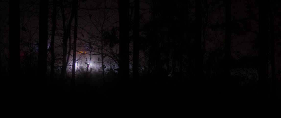 The lights of a truck on a highway illuminate a stand of trees at night