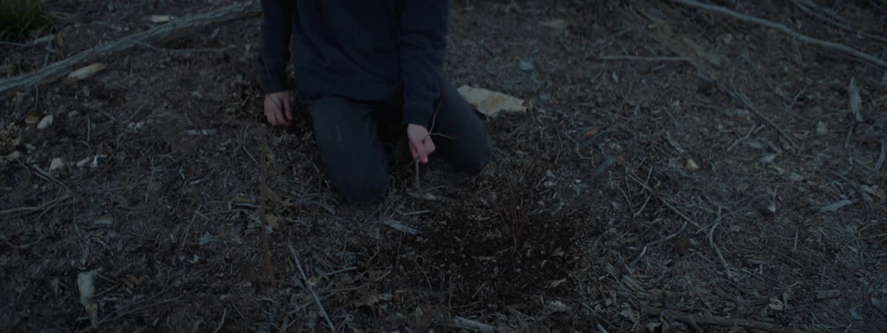 A young man is clawing and punching dirt in the woods