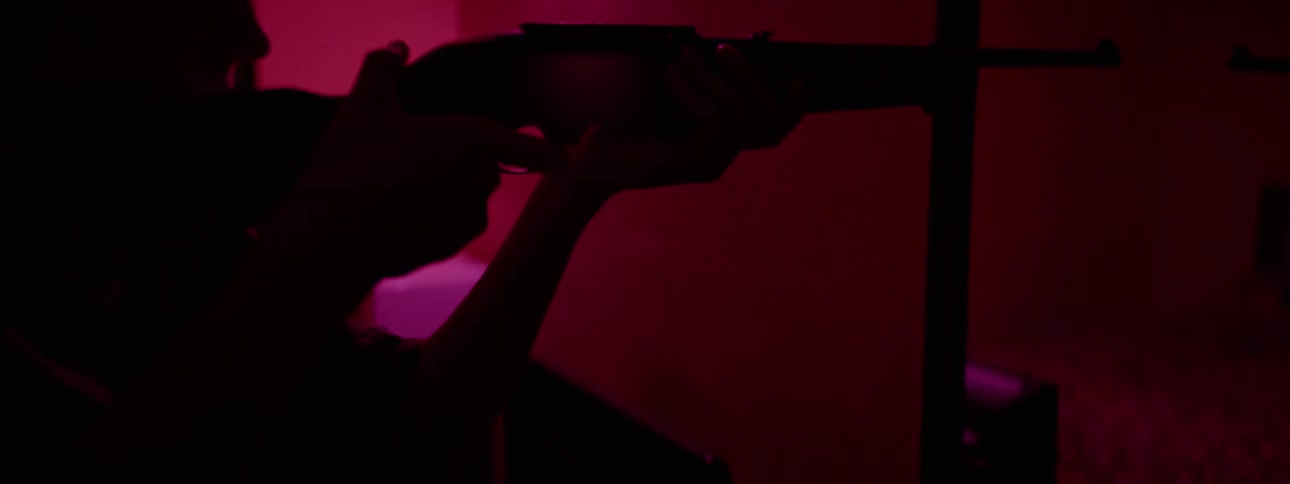 A person shoots a gun into a bedroom