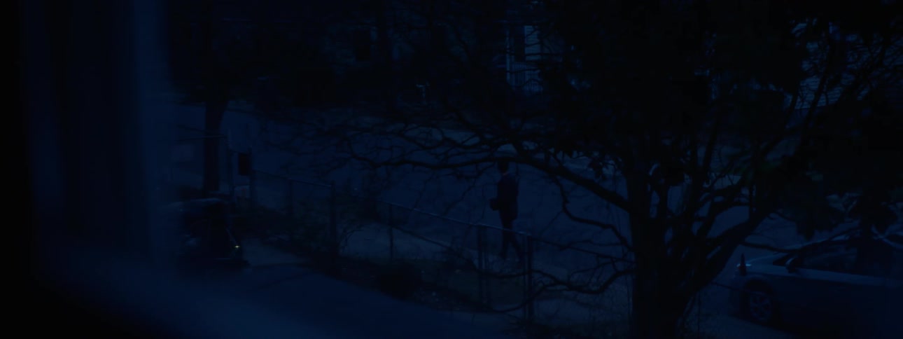 Someone walks near the trees at night