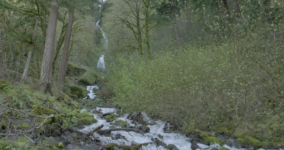 Water flowing down from the top of a mountain into a gentle stream