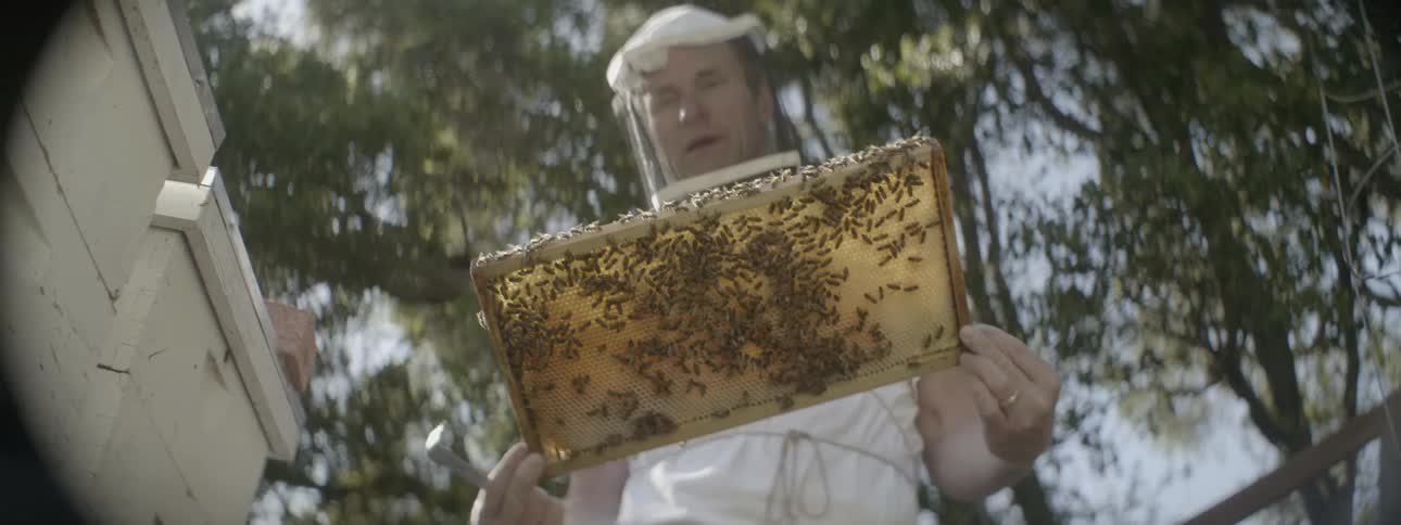 A man is holding a board covered in honey and pees