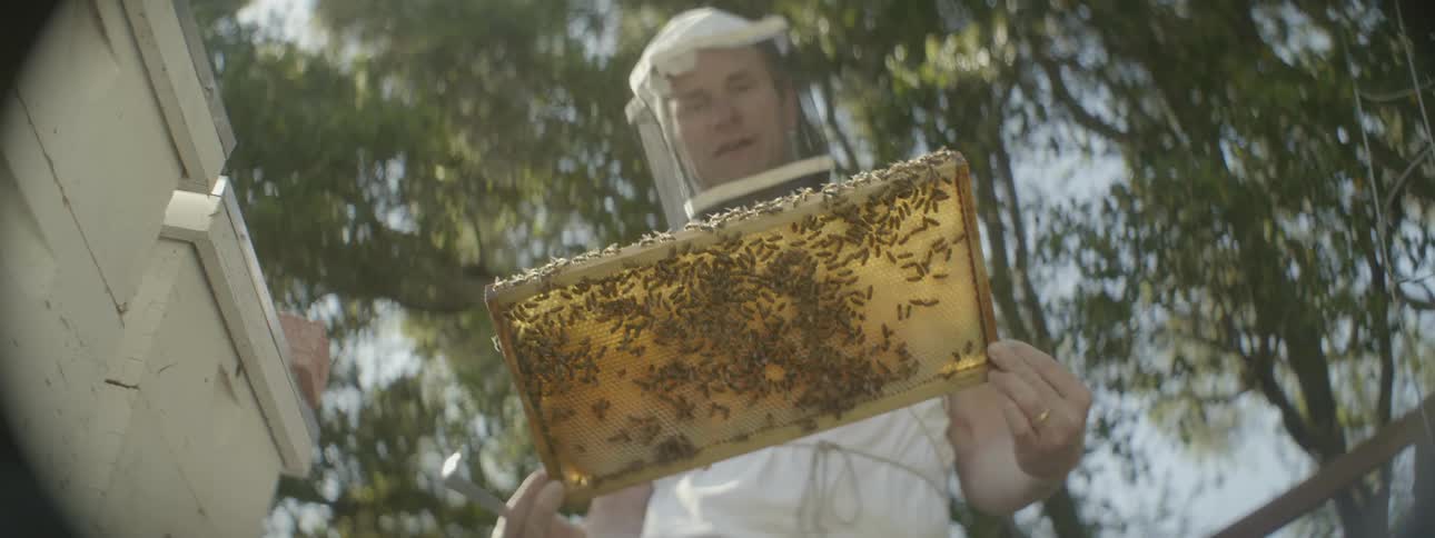 Man wearing at a mask looking at a screen covered in bees