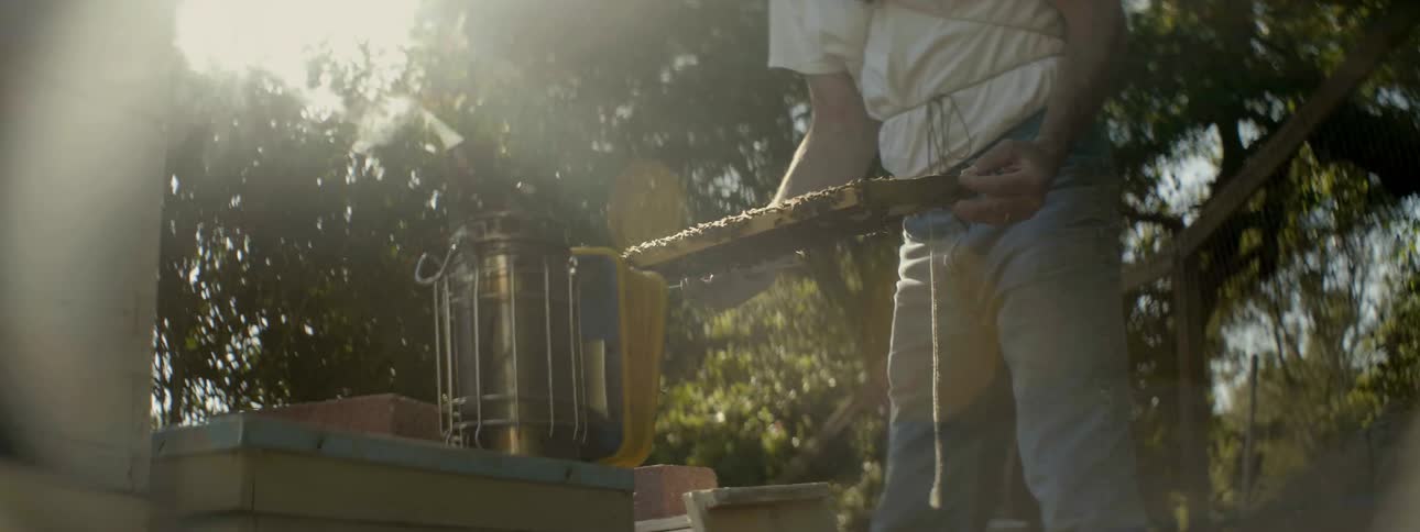 A man is working in his bee farm