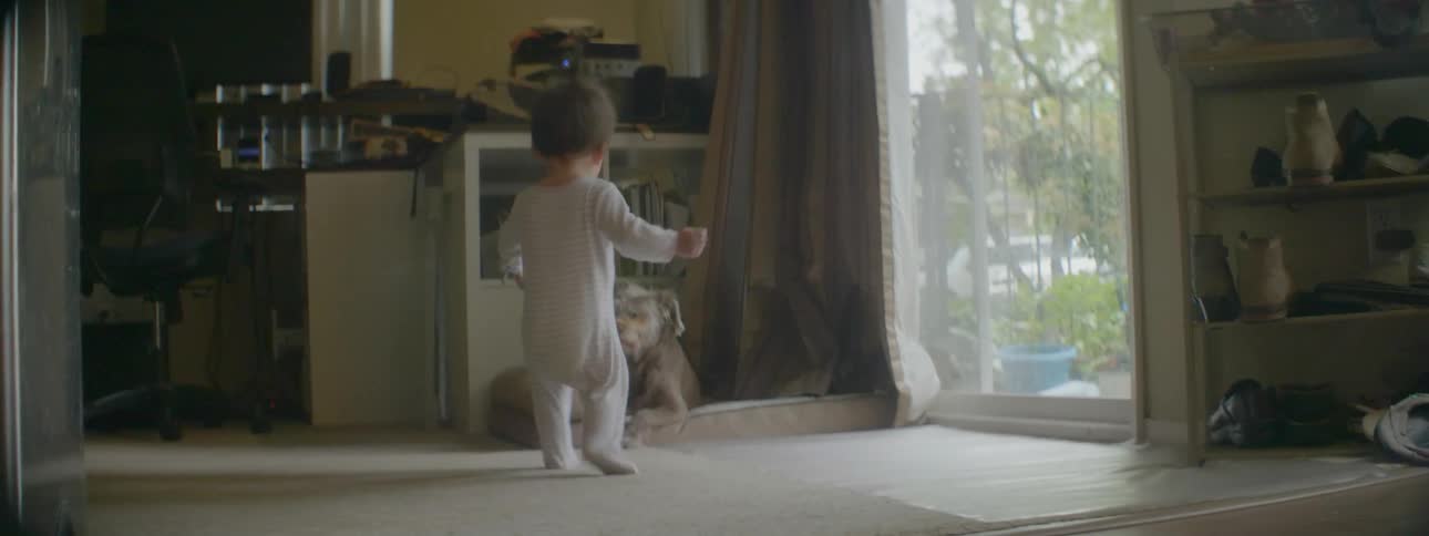 Toddler stands up holding a back scratcher and walks over to a dog