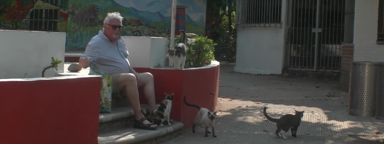 A man walks over and sits down by some cats