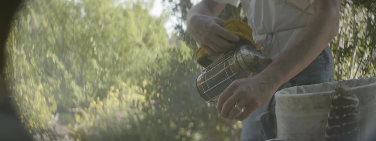 A beekeeper pours smoke on his hands
