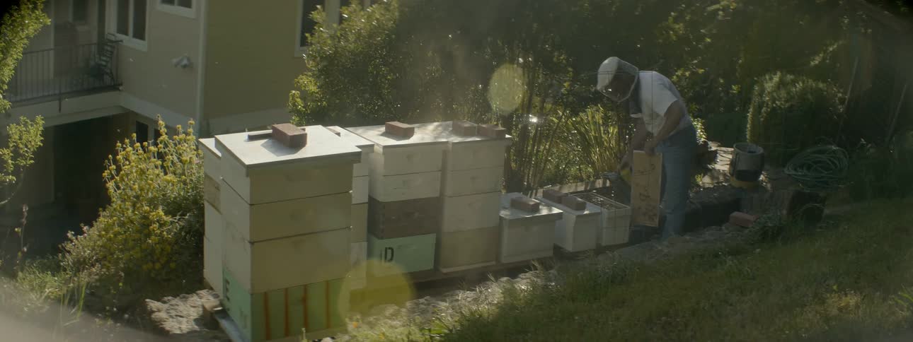 A man uses a smoker as he tends to a beehive