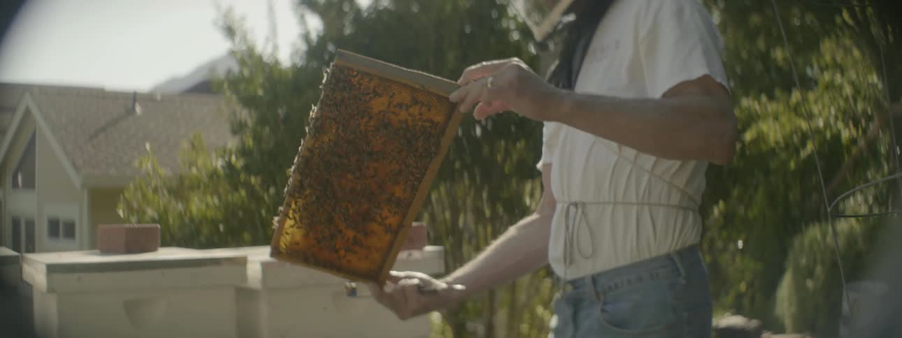 A man holds a panel of bees