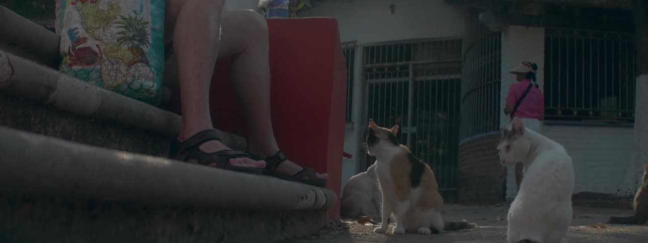 A man sitting on some steps is feeding stray cats