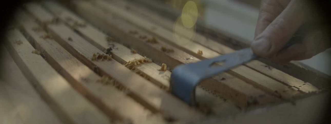 A person arranges panels in a beehive
