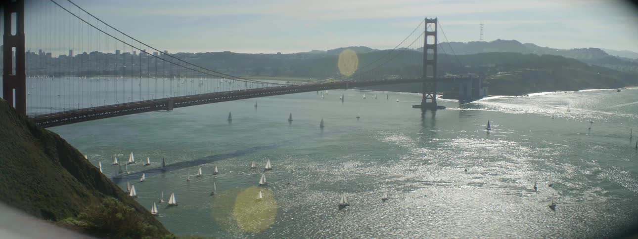 Many boats are sailing under the bridge