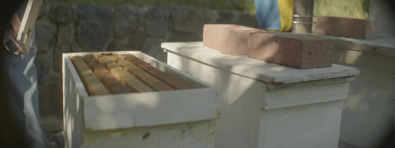 A man takes the cover off a beehive