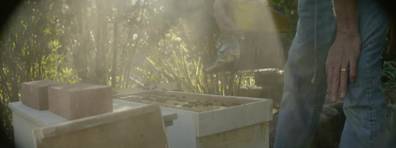 A man sprays bees with smoke