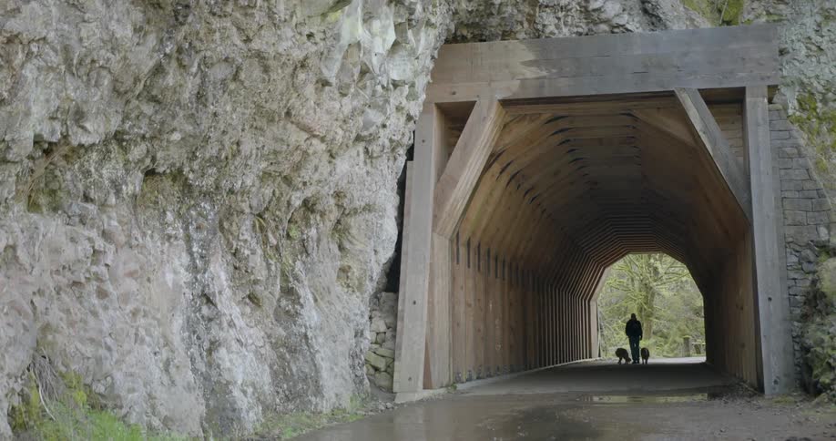 Someone walks two dogs through a mountain tunnel on a quiet rainy day