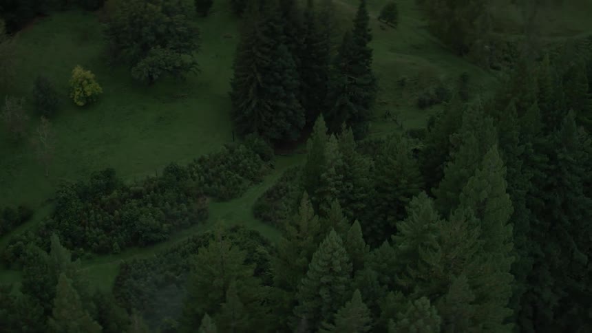 A green grassy field is being filmed by a drone
