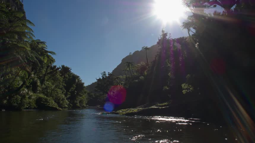 The sun shines on a river in the forest