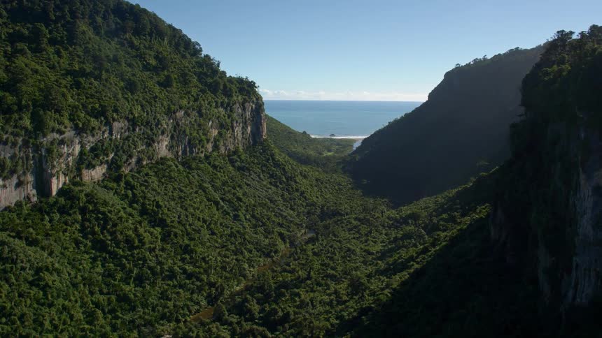 The mountains are covered with trees before the shore